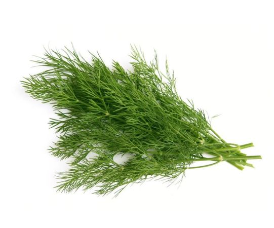 Living Organic Daun Dill