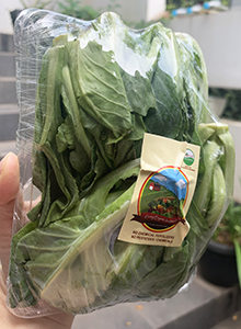 Living Organic Comeo