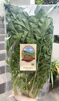 Living Organic Daun Lobak