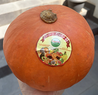Lving Organic Kabocha Orange