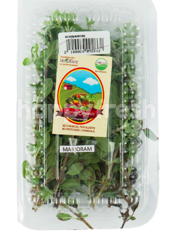 Living Organic Marjoram