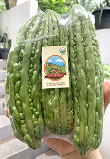 Living Organic Pare Organik