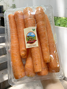 Living Organic Wortel Besar