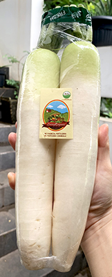 Living Organic Lobak