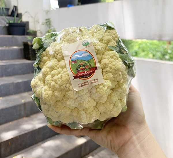 Living Organic Kembang Kol