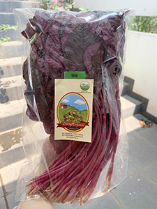 Living Organic Bayam Merah