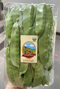 Living Organic Kapri Muda