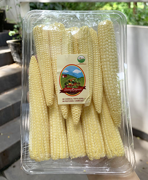 Living Organic Jagung Baby