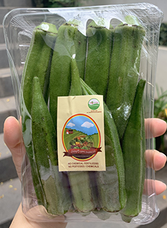 Living Organic Okra