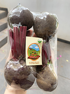 Living Organic Bit 