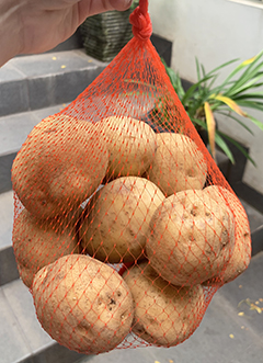 Living Organic Kentang Besar