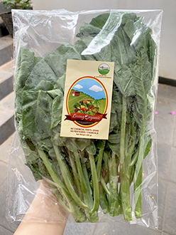 Living Organic Kailan
