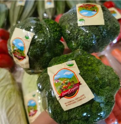 Living Organic Brokoli