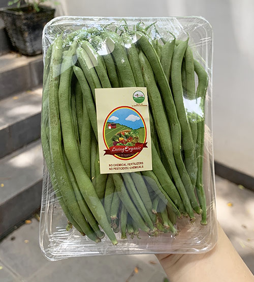 Living Organic Baby Buncis