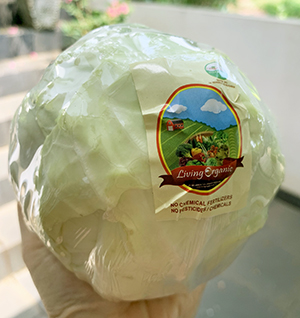 Living Organic Kol Putih