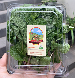 Living Organic Peppermint