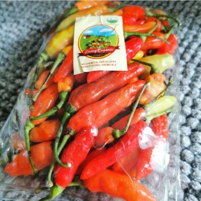 Living Organic Cabe Rawit Merah