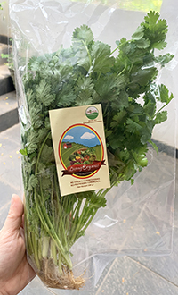 Living Organic Wansuy Wansui