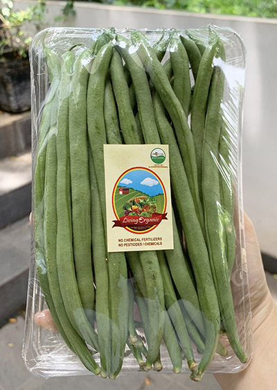 Living Organic Buncis lokal