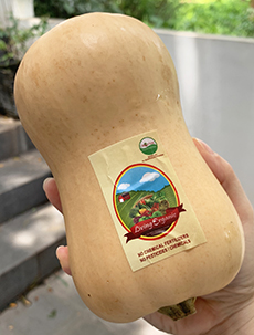 Living Organic Butternut Pumpkin