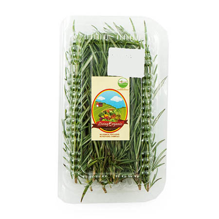 Living Organic Rosemary