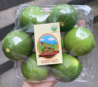 Living Organic Jeruk Nipis