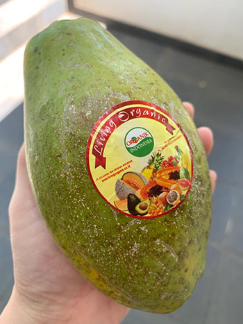 Living Organic Pepaya Hawaii