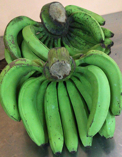 Living Organic Pisang Ambon Kuning