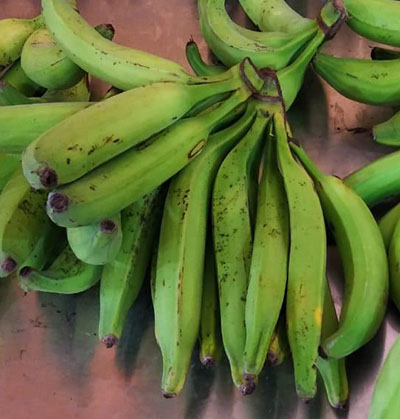 Living Organic Pisang Tanduk